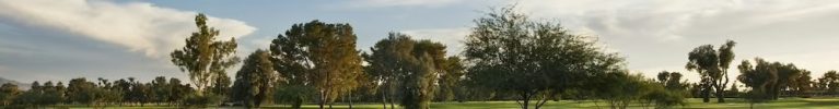 gallery-golf-4